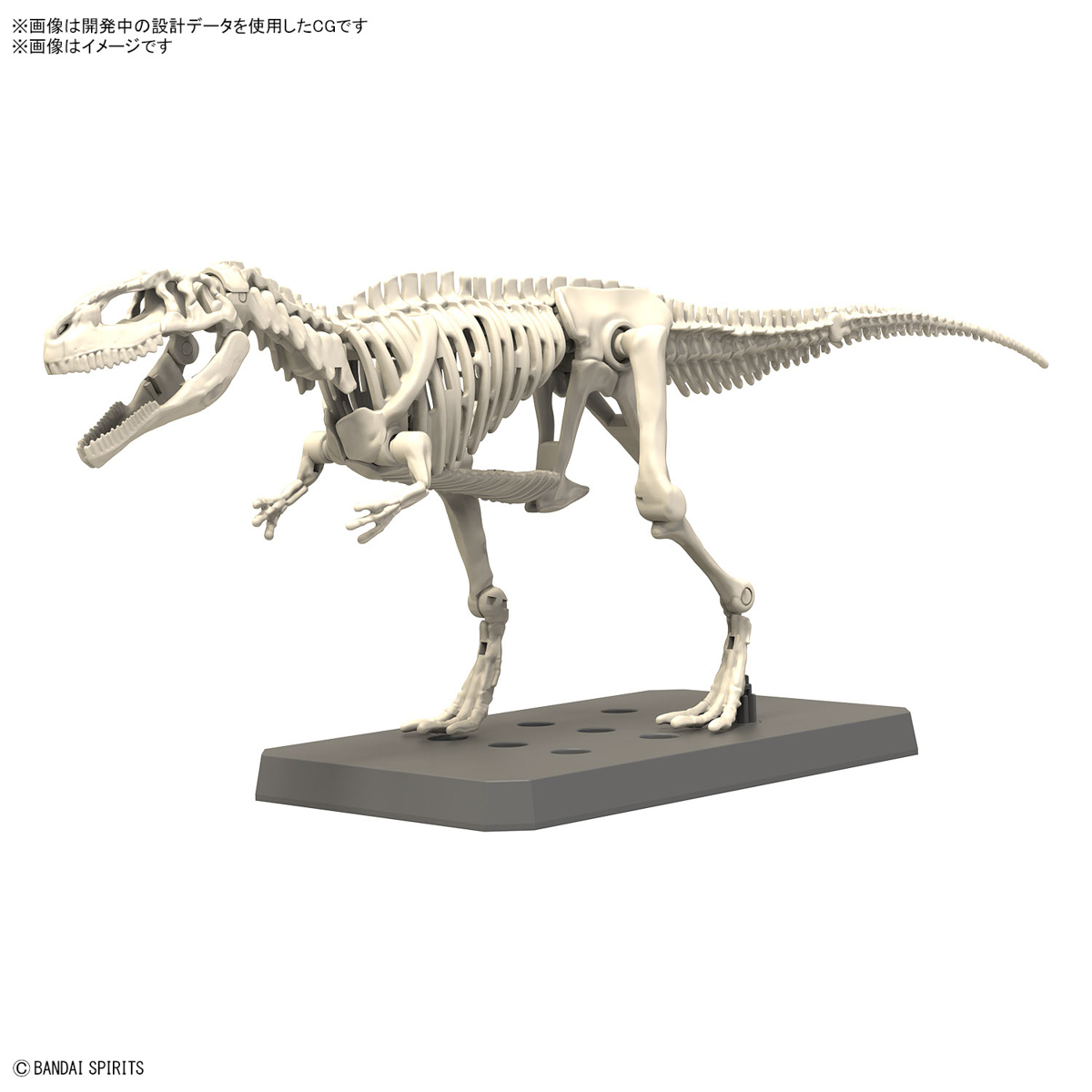 Disponibile: Modello di Fossil - Model Kit Dinosaur Bandai recensione e prezzo