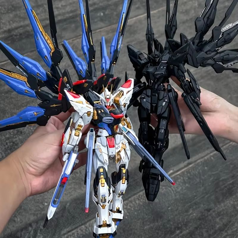 CHANGLONG Modello 7701 MGEX ZG - Gundam Model Mg recensione e prezzo