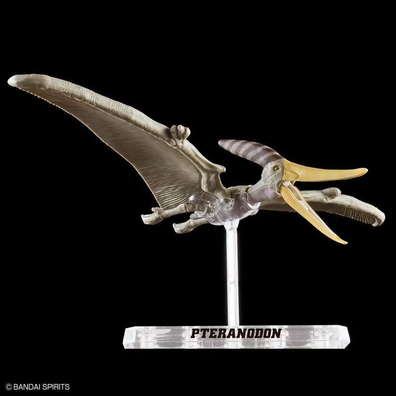 BANDAI PLANNOSAURUS Pteranodon - Model Kit Dinosaur Bandai recensione e prezzo