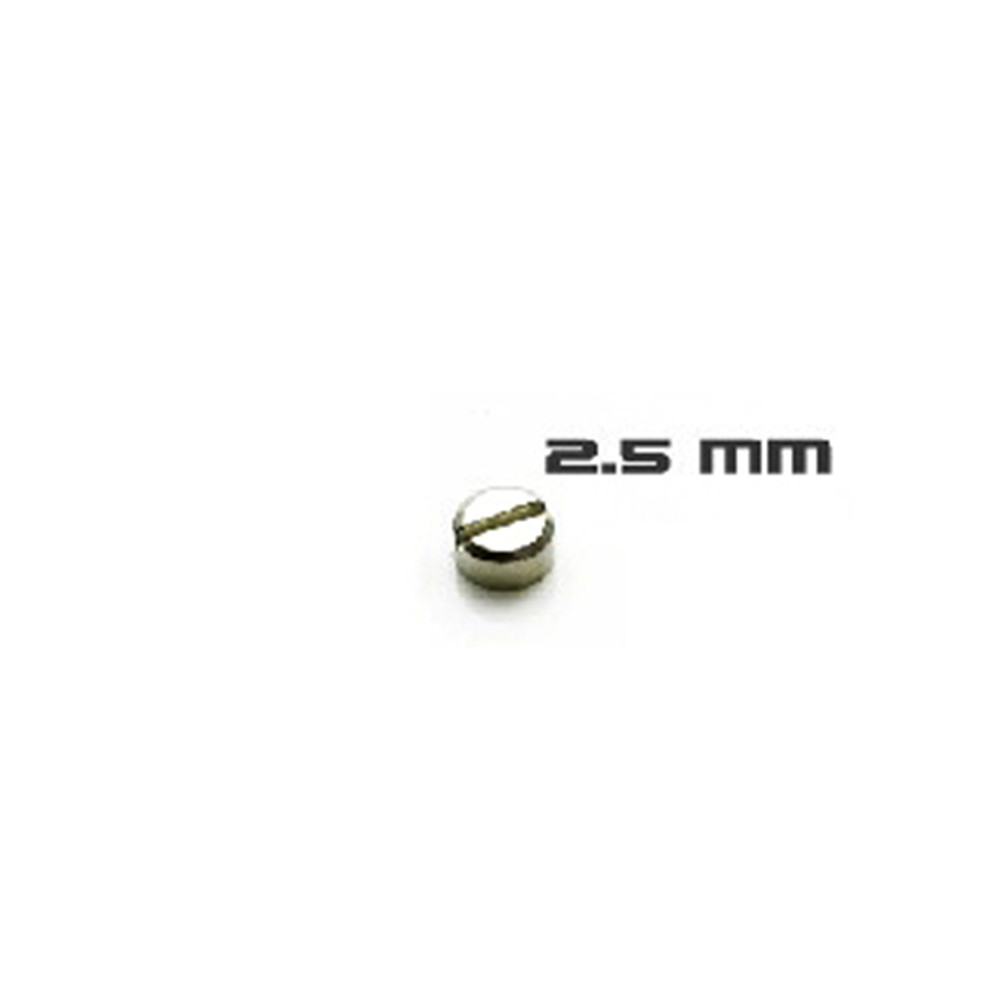 30 pz viti corazzate modello i - Gundam Model Mg recensione e prezzo