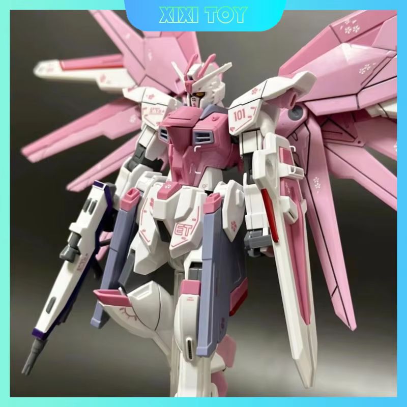JMS HG 1/144 ZY-06 Freedom Ass - Gundam Model Mg recensione e prezzo