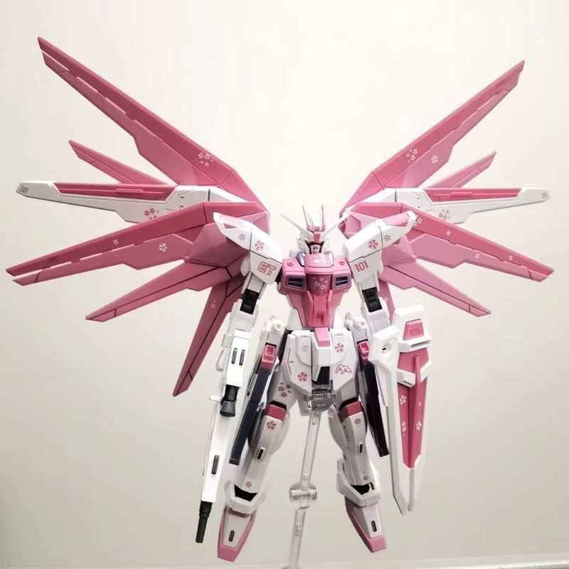 JMS HG 1/144 ZY-06 Freedom Ass - Gundam Model Mg recensione e prezzo