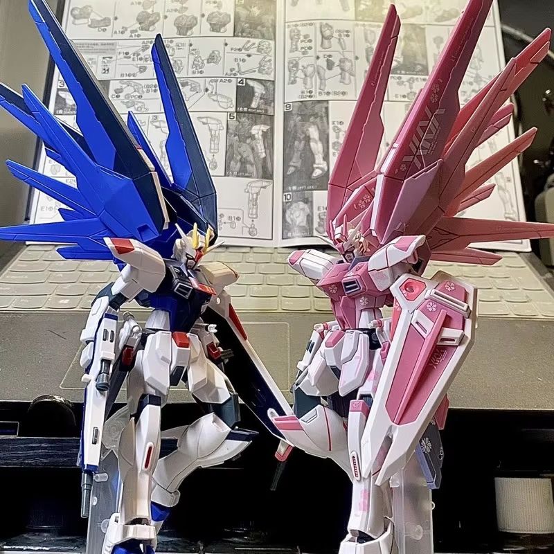 JMS HG 1/144 ZY-06 Freedom Ass - Gundam Model Mg recensione e prezzo